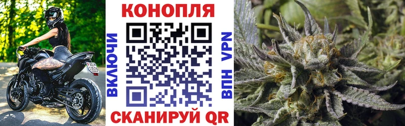 Купить где  Инсар  МАРИХУАНА семена 